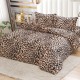 Lenjerie Cocolino Pufoasa cu Elastic 4 piese Casiopea