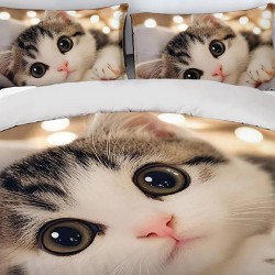 Lenjerie de pat cu elastic 5D bumbac finet 6 piese Kitty