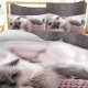 Lenjerie Bumbac Finet 6 Piese Grey Cat