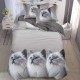Lenjerie Bumbac Finet 1 Persoana Cat Lover