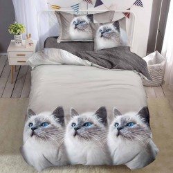 Lenjerie Bumbac Finet cu Elastic 1 Persoana Kitty